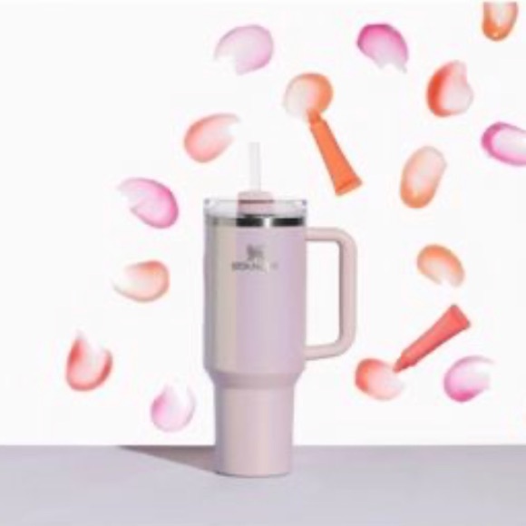 ASTER STANLEY NWT 💖💖 - Picture 2 of 5